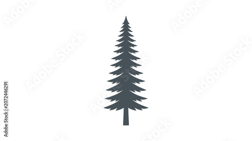 Dark green pine tree silhouette.