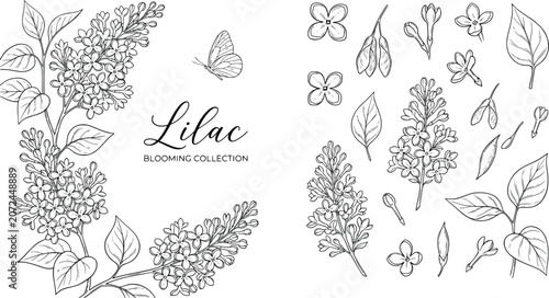 Quadro su tela Vintage lilac blooming collection, hand drawn botanical line art set, black and