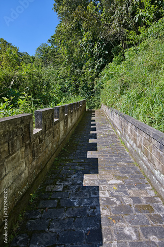 Stone staircase in the wild jungle