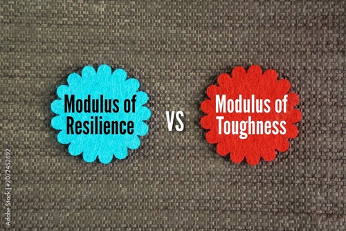 Canvas Print Two words Modulus of Resilience vs Modulus of Toughness