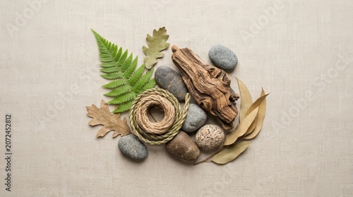 Natural elements on beige background.