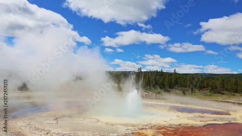 A powerful geyser erupts along the Upper Geyser Basin trail in Yellowstone National Park