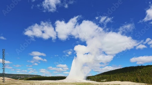 Old Faithful erupts against the open landscape in a panoramic view of Yellowstone National Park