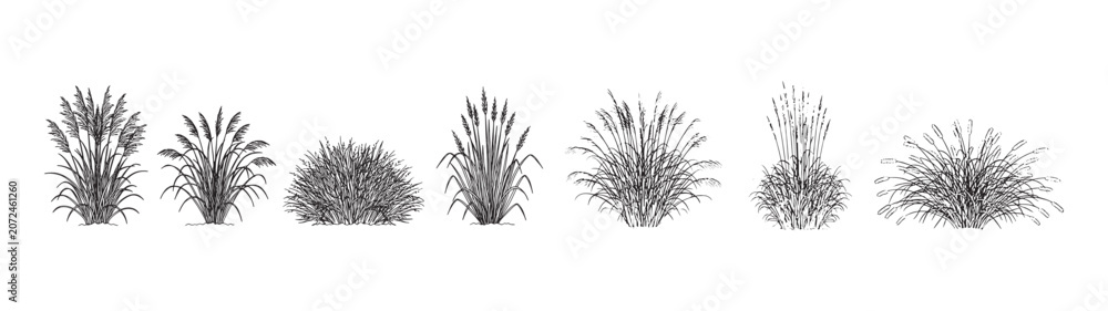 Fototapeta premium Grass Bush Silhouettes Vector Set Landscape Plant Collection