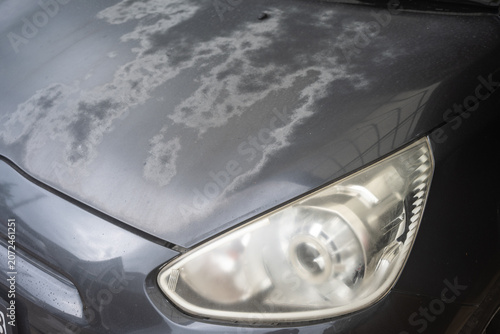 Obraz na plátně Color on car hood fading is caused by UV rays and heat oxidizing the clear coat, breaking down paint pigments, particularly on horizontal surfaces like roofs and hoods