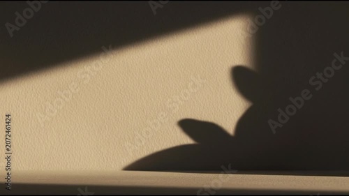 Shadow puppet show depicting a bunny rabbit casting an abstract and playful silhouette against a warm, textured wall