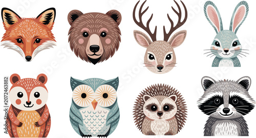 Photography Woodland Forest Animal Character Icon Set with Cute Wildlife Illustrations