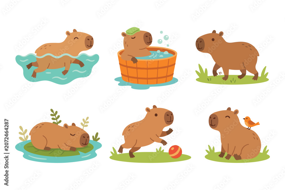 Fototapeta premium Cute capybara swimming and taking a bath vector illustration set. Adorable capybara character playing ball, walking on grass, and relaxing in wooden tub clip art