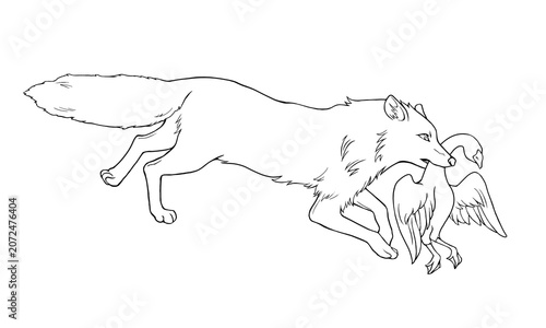 ガチョウをくわえるキツネ（横向き）の線画イラスト