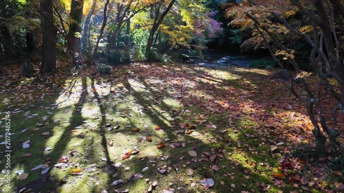 釣耕園の紅葉　熊本市