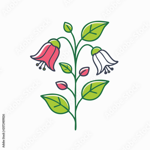 Stylized Illustration of a Fuchsia Plant with Flowers and Leaves