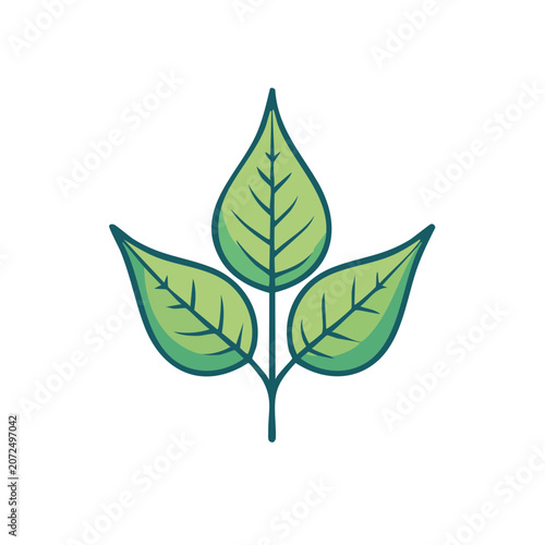Three Green Leaves Flat Vector Illustration