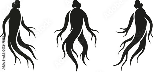 Obraz na plátně Minimalist styling panax ginseng root icon silhouettes vector illustration