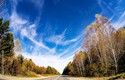 view of the autumn road from the windshield of a suburban car