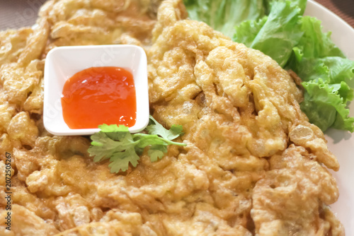 Fried omelet with tomato sauce on white plate