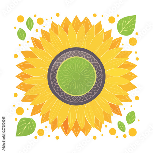 Flat vector illustration of a sunflower with leaves and dots
