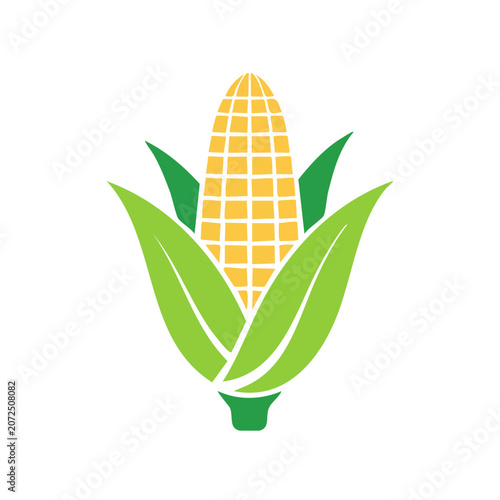 Flat vector illustration of an avocado