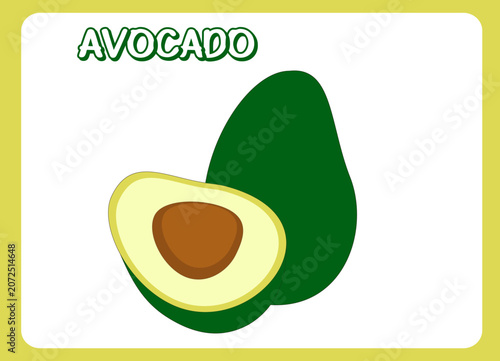 Avocado Vector Illustration Isolated on White Background