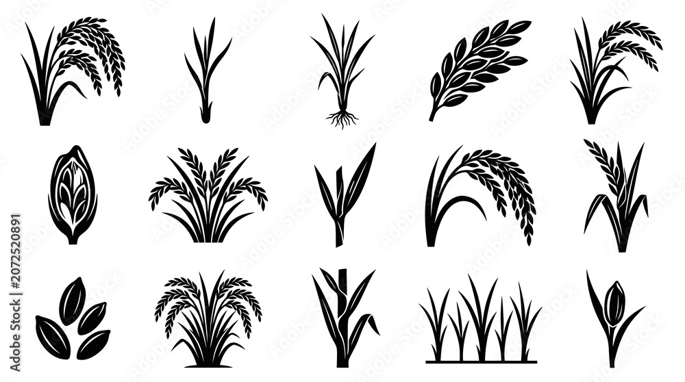 Fototapeta premium Black White Rice Plant and Grain Agriculture Glyphs Vector Icons Set for Food Industry