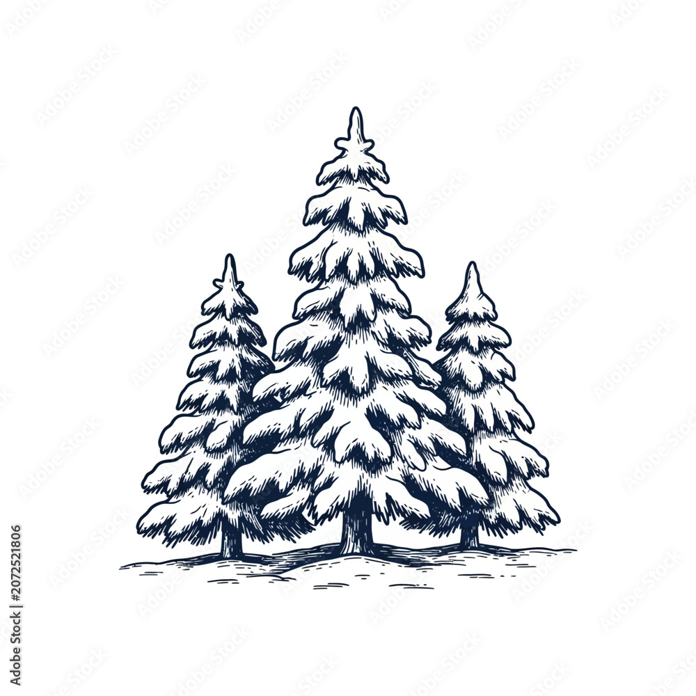 Obraz premium Hand drawn sketch of three snow covered pine trees in winter forest illustration.