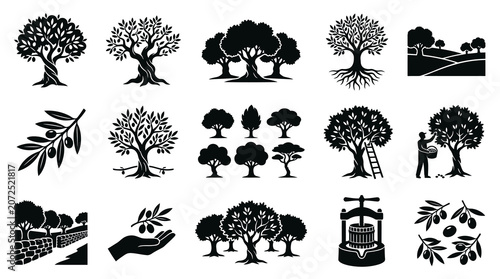 Olive Tree and Olive Oil Production Black and White Vector Silhouettes and Glyphs Collection for Food Industry