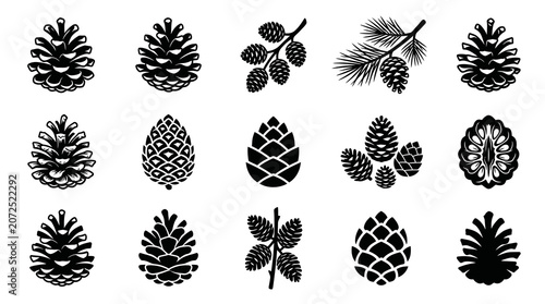 Black and White Pine Cones Vector Icons, Nature and Winter Style