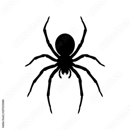Φωτογραφία Black spider icon, spider silhouette, creepy crawly symbol, insect logo isolated