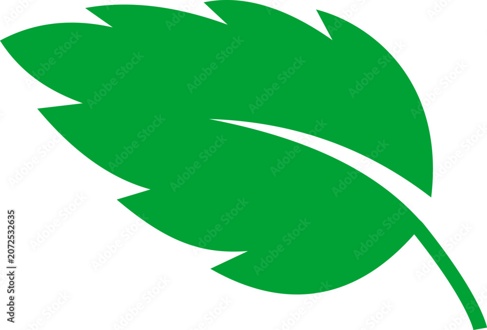 Obraz premium Green leaf icon featuring botanical foliage symbols in solid and outline style vector design for nature and ecology concepts isolated on transparent background