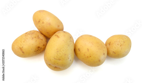 Quadro su tela A long russet potato on white