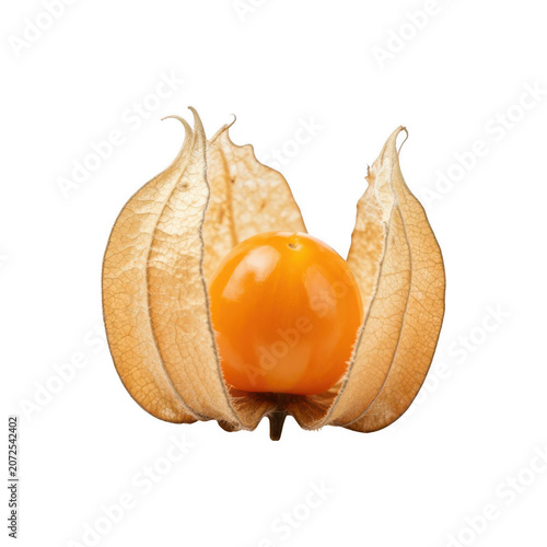Physalis fruit isolated on transparent background