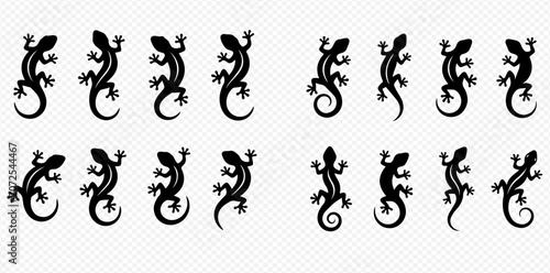 Set of various black gecko and lizard silhouettes, vector illustrations for design elements.