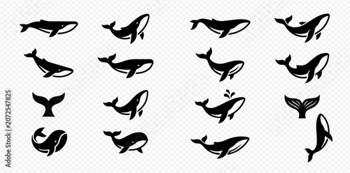 Tableau sur toile Set of various whale and tail silhouettes, including humpback, sperm, and blue whales, in different poses