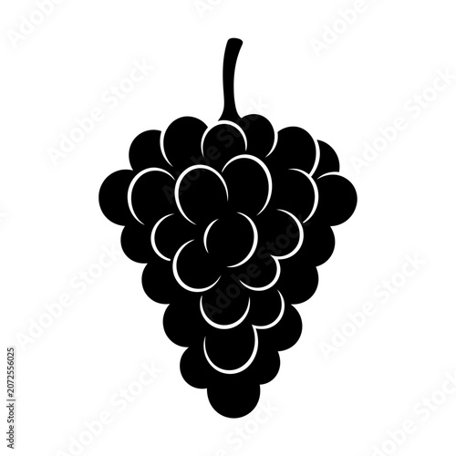 Black and White Illustration of a Clusters of Grapes with Leafless Stem Suitable for Packaging or Artistic Use