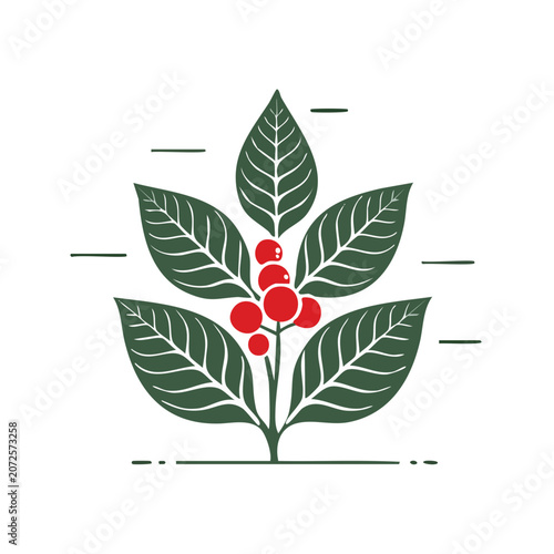 Flat vector illustration of coffee plant with cherries