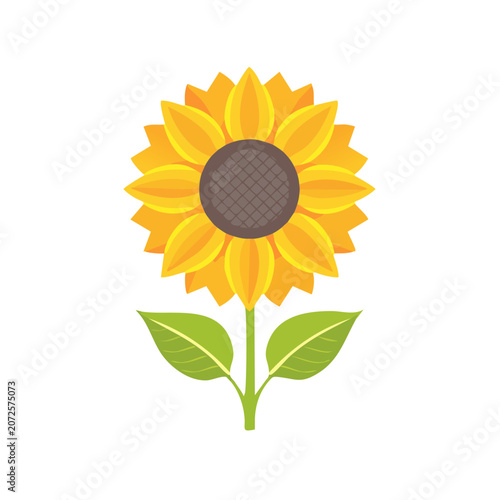 Yellow sunflower flat vector illustration