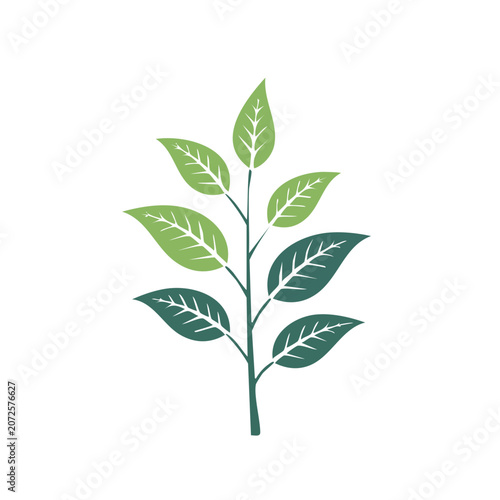 Green leaf branch vector illustration