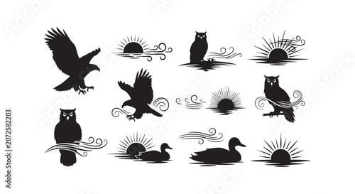 Collection of birds and sunset elements silhouettes with eagles owls ducks and dynamic swirls for nature scenes.