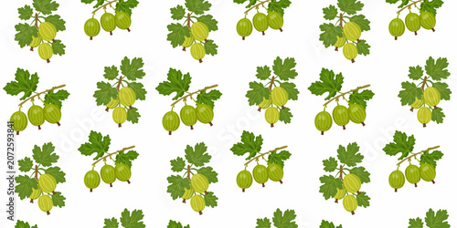 natural gooseberry twigs seamless surface pattern design