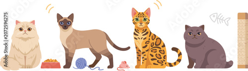Bild auf Leinwand Cute Cat Breeds Vector Icon Set with Persian, Siamese, Bengal, and British Short