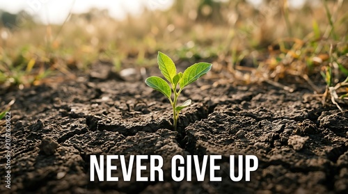 Small green plant sprouting from dry cracked soil symbolizing hope and perseverance in tough conditions