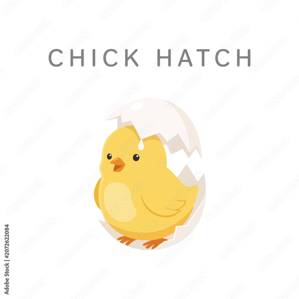 Fototapeta premium A cute yellow baby chick hatching from a white eggshell with the text chick hatch isolated on a white background, for spring holiday