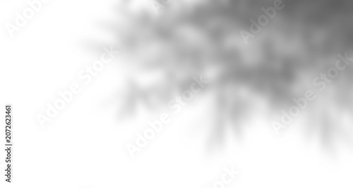 grey shadow overlay effect of blur leaves  branch of tree creating abstract shadows on wall suitable for background  design element of illustration