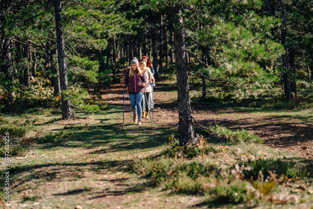Fototapeta premium Women hiking forest trail using trekking poles