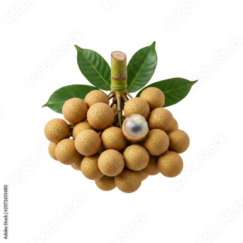 Bunch of fresh longan fruits with green leaves, isolated on a transparent background