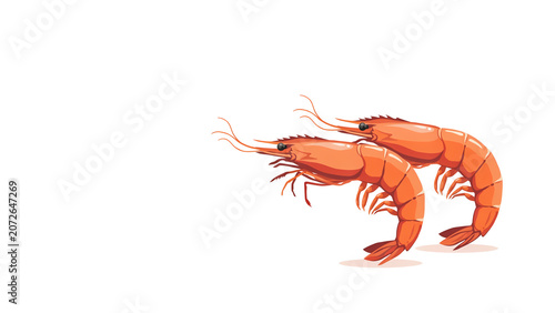 Two fresh orange shrimp side by side with crustacean shellfish ingredient