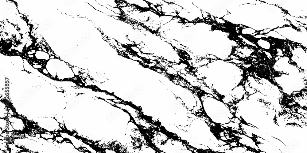 Fototapeta premium Elegant White Marble Background with Dramatic Black Veining Luxury Stone Texture Design.