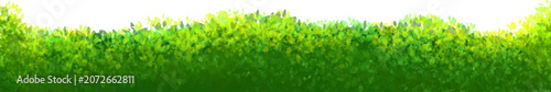Fresh Green Field Border with Dense Grass Texture for Nature Background and Banner Design