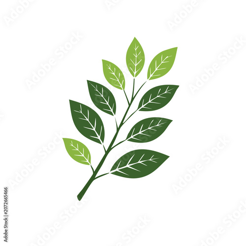 Flat illustration of a green leaf branch