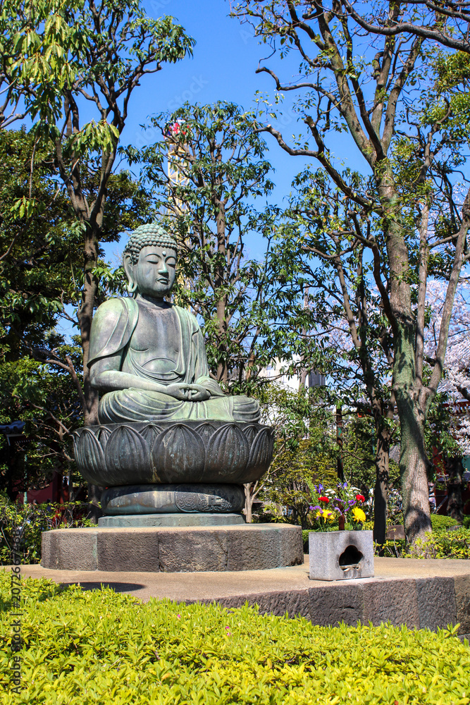 Obraz premium Buddha statue meditating in a peaceful garden