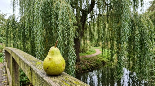 pear on the tree